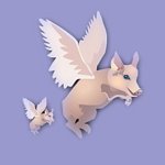 Flying Pig and Magic Wand